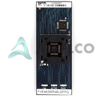 FVE4ASMR48LQFPG Image