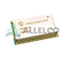 RN2903A-I/RMSA103 Image