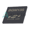 BGM13S22F512GN-V3R