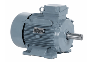 Eekhoornkooi-inductiemotor: werkingsprincipe, typen, voordelen en toepassingen