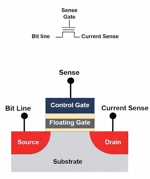 Flash Memory Working Principle
